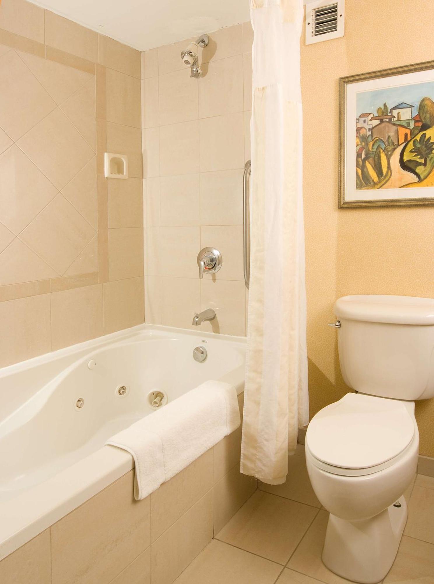 Hotel Hilton Garden Atlanta Airport/millenium Center College Park